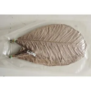 Dried Houba  - Magnolia Leaf 100pc